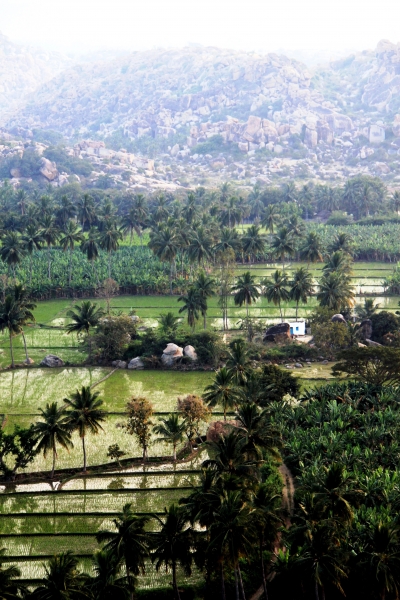 Zuid Oost India (226)