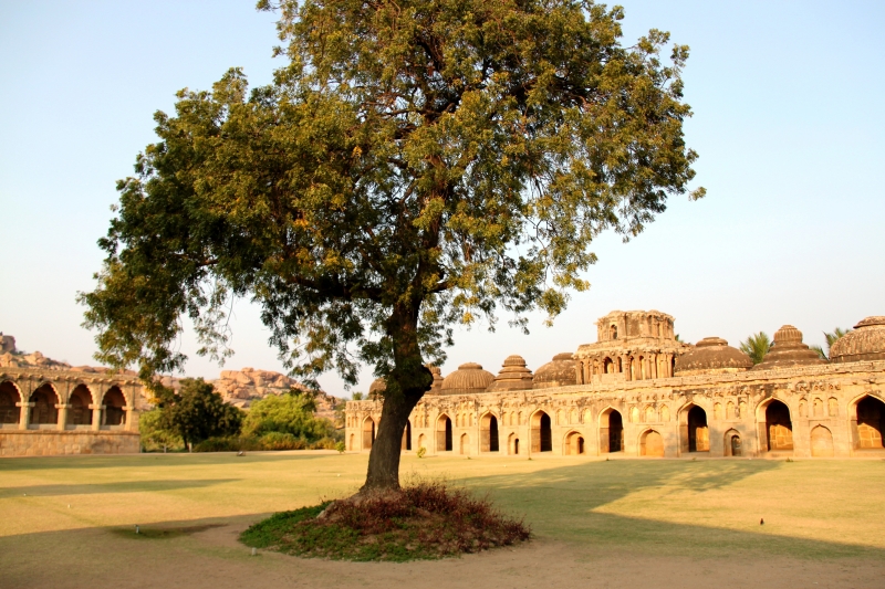 Zuid Oost India (237)