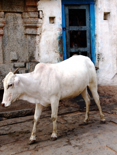 Zuid Oost India (4)