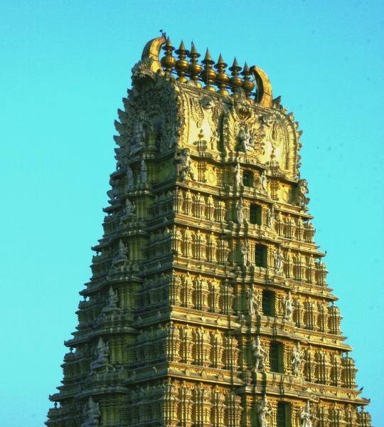 Zuid Oost India (80)