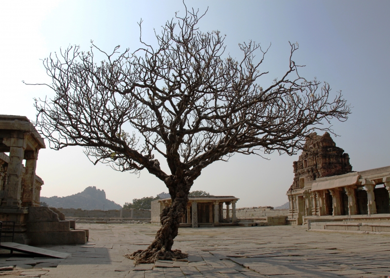 Zuid Oost India (85)