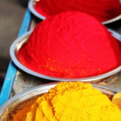 Zuid Oost India (11)