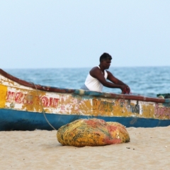Zuid Oost India (238)