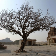 Zuid Oost India (85)