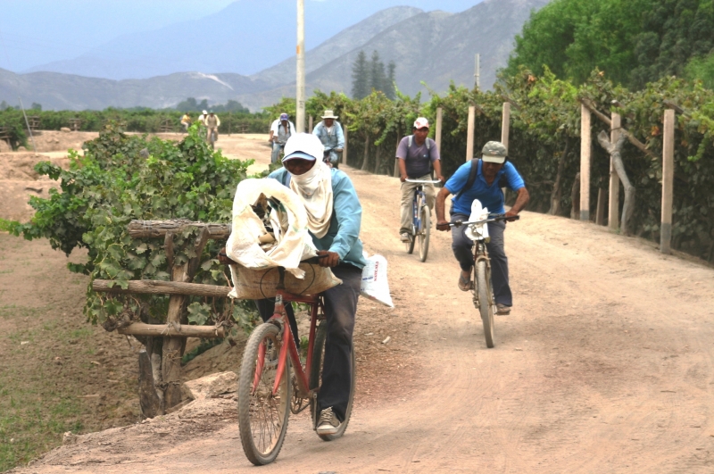 Zuid Peru (253)