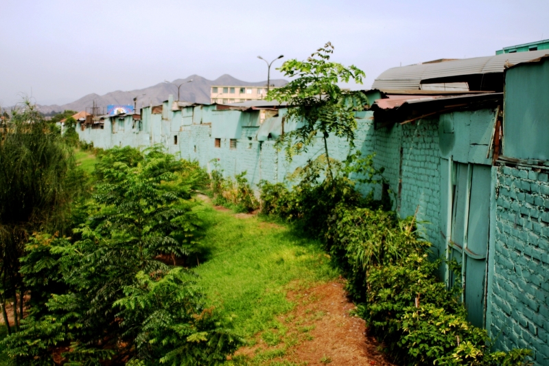 Zuid Peru (296)