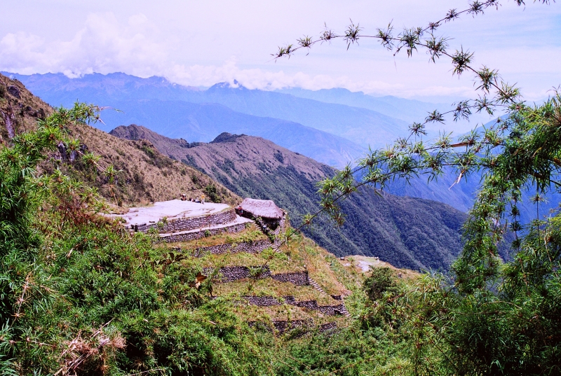Zuid Peru (308)