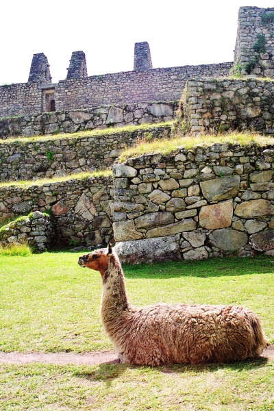 Zuid Peru (320)