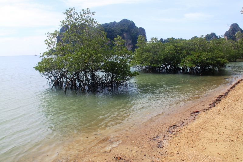 Zuid Thailand (15)