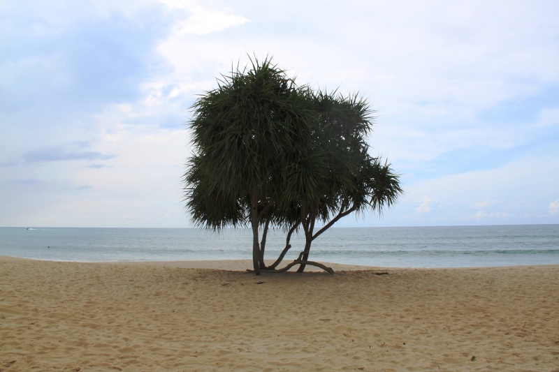 Zuid Thailand (7)