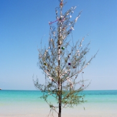 Zuid Thailand (32)