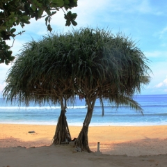 Zuid Thailand (4)