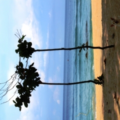 Zuid Thailand (5)
