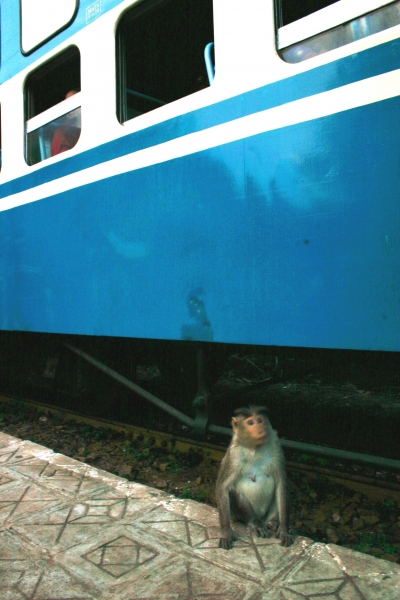 Zuid West India (20)