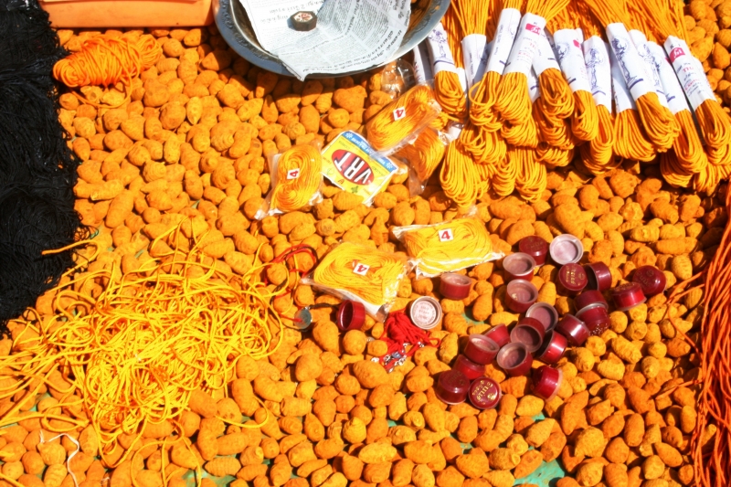 Zuid West India (66)