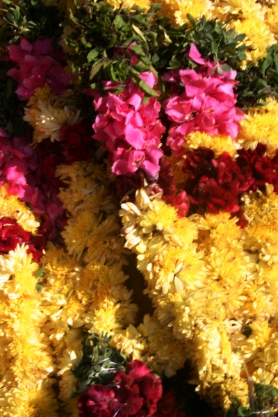 Zuid West India (67)