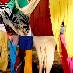 Zuid West India (26)