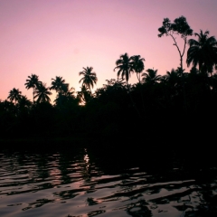 Zuid West India (7)